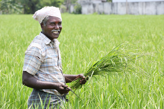 Smiling Farmers