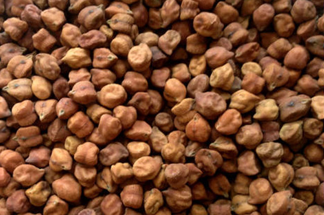 Brown Chana