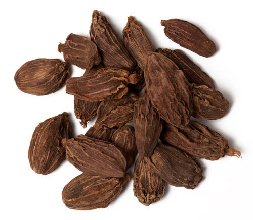 Large Cardamom