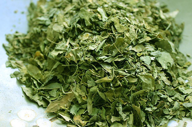 Moringa Dry Leaves