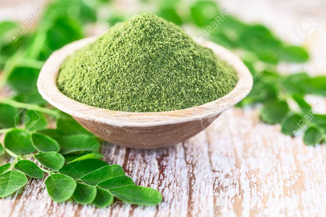 Moringa Powder