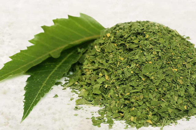 Neem Powder