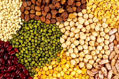 Dals, Pulses and Millets