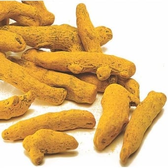 Turmeric Fingers