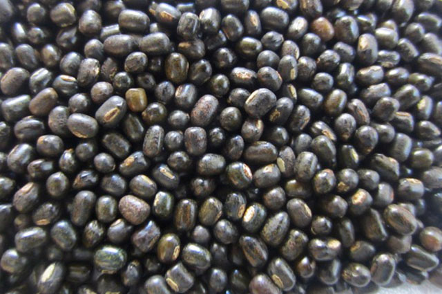 Urad Black