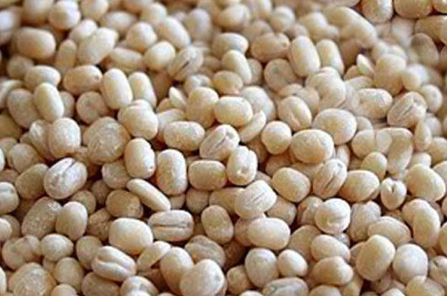 Urad White