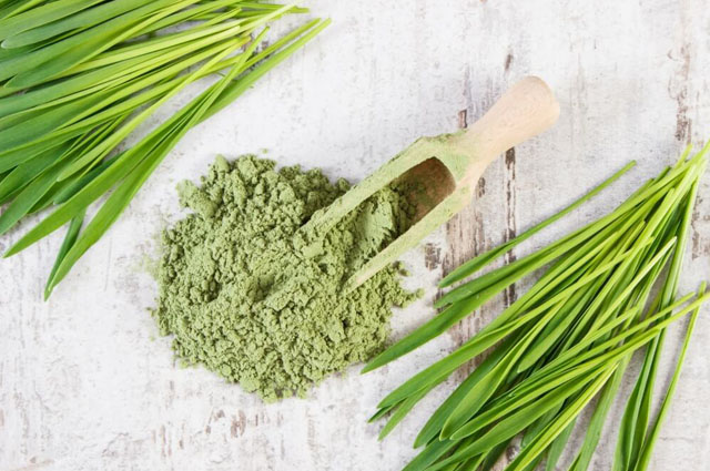 Wheatgrass Powder